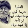 user8034754985736