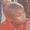 son.of.euros5