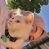 mahnoorofficial96