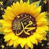 user20336165387928
