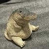 gregeggs