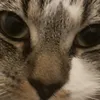 listerineonwaffles17