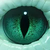 ANACONDA