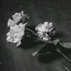 user191387130
