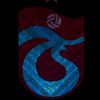 selimkurtuldu16