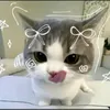 angelaofficial12