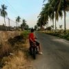 tahu.tempie