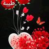 user9059686059312