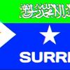 aarkareerfiqi