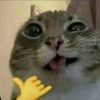 fw._.santos9