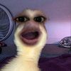 dedeyyaaaaaaaa