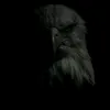 articooobs1