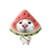 chuppy_xinhgai