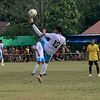 fens.panceboy
