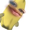 lasazysos