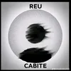 vence.reu.cabite