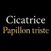 papilliontriste2019