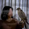 renk_kalary13