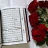 alfarise_almeghwar