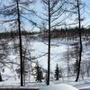 vika_vi125