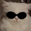lt3o3