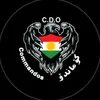 sahand_559