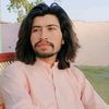 amirmirani44