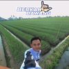 bakulbawang16