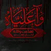 ali.adnin17