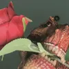 kyotmonemen