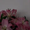 24_cgn