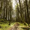 natureloveralways_