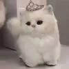 nakaihxcgf3
