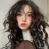 nhacoba8