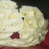 farii_0028
