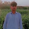 gohargujjar503