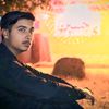 shahmer493
