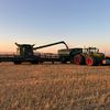 davidson_farms
