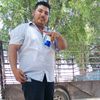 armando.nuez179