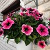 tiina.raimet4