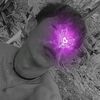 user5531795361498
