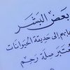 user4827759863228
