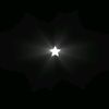 zx_veck