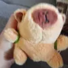 gxill3rmoo273