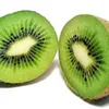 kiwi3235
