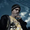 foxy.aep12