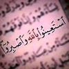 user1201600266006