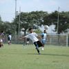 mohamad.lashen