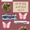 user8422546314542