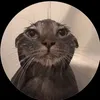 leonardo_7140